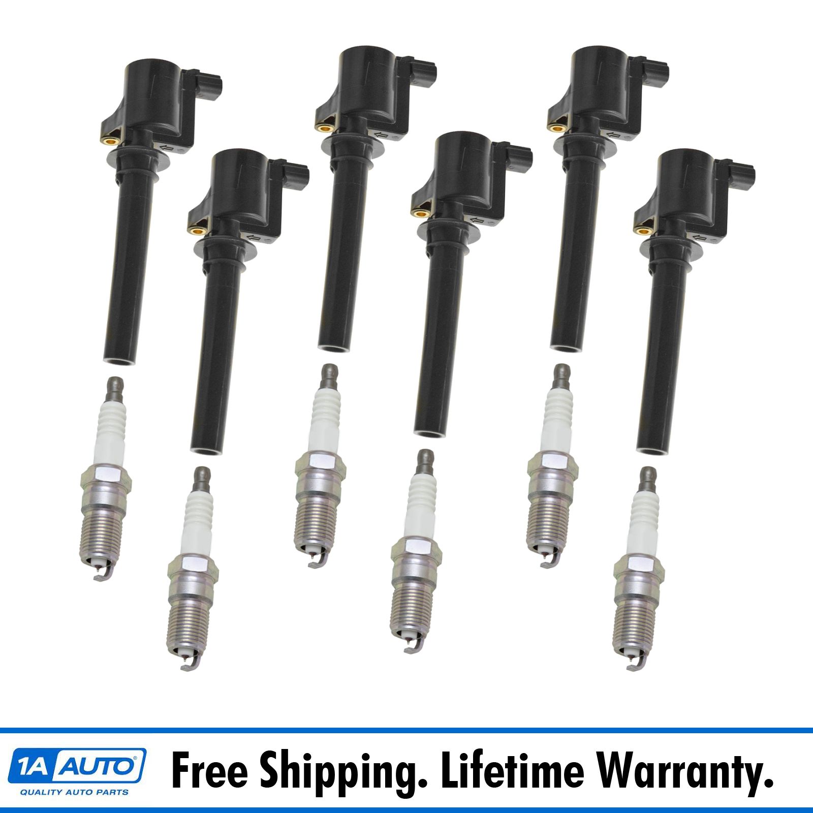 <b>12 Piece Ignition Kit</b>