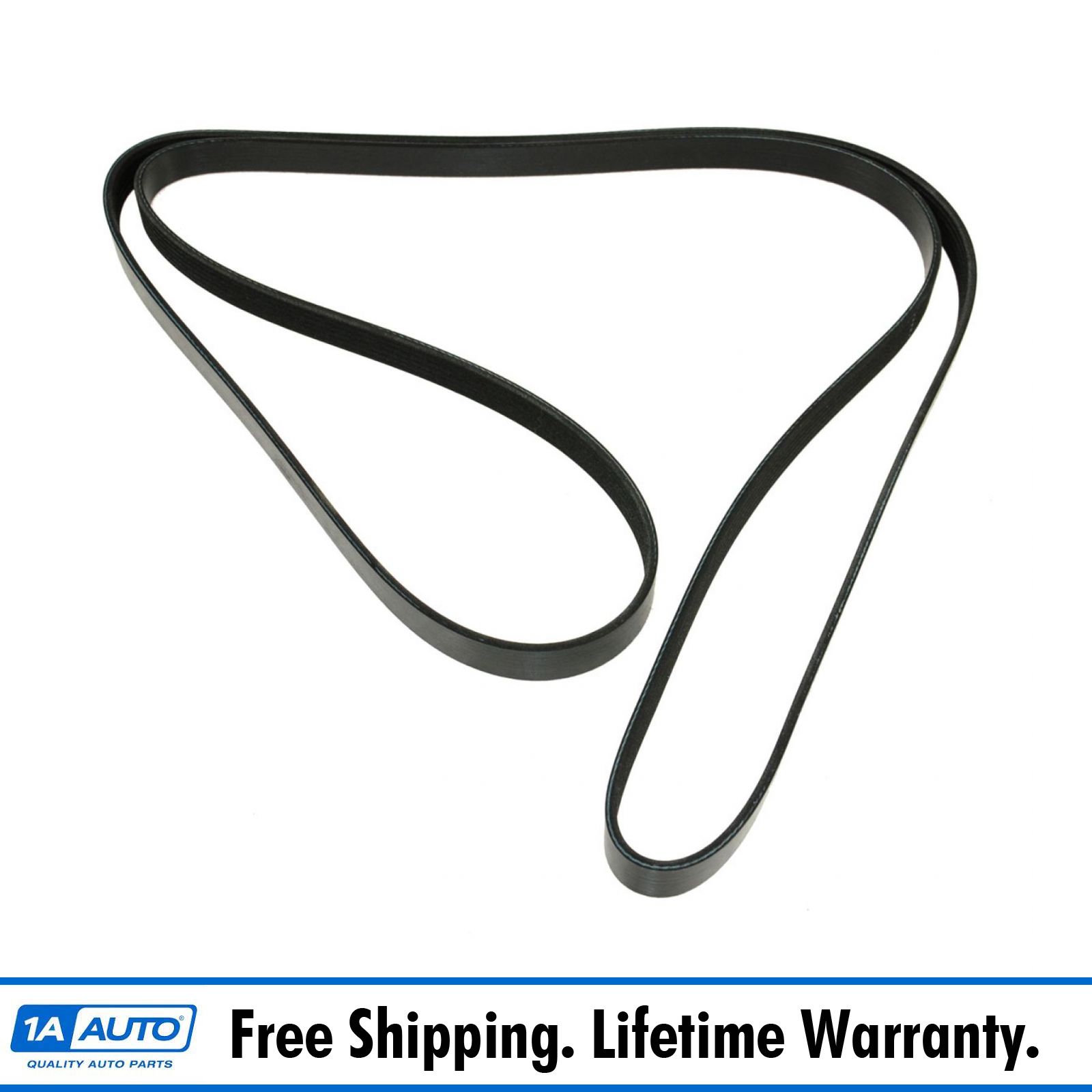 accessory drive belt