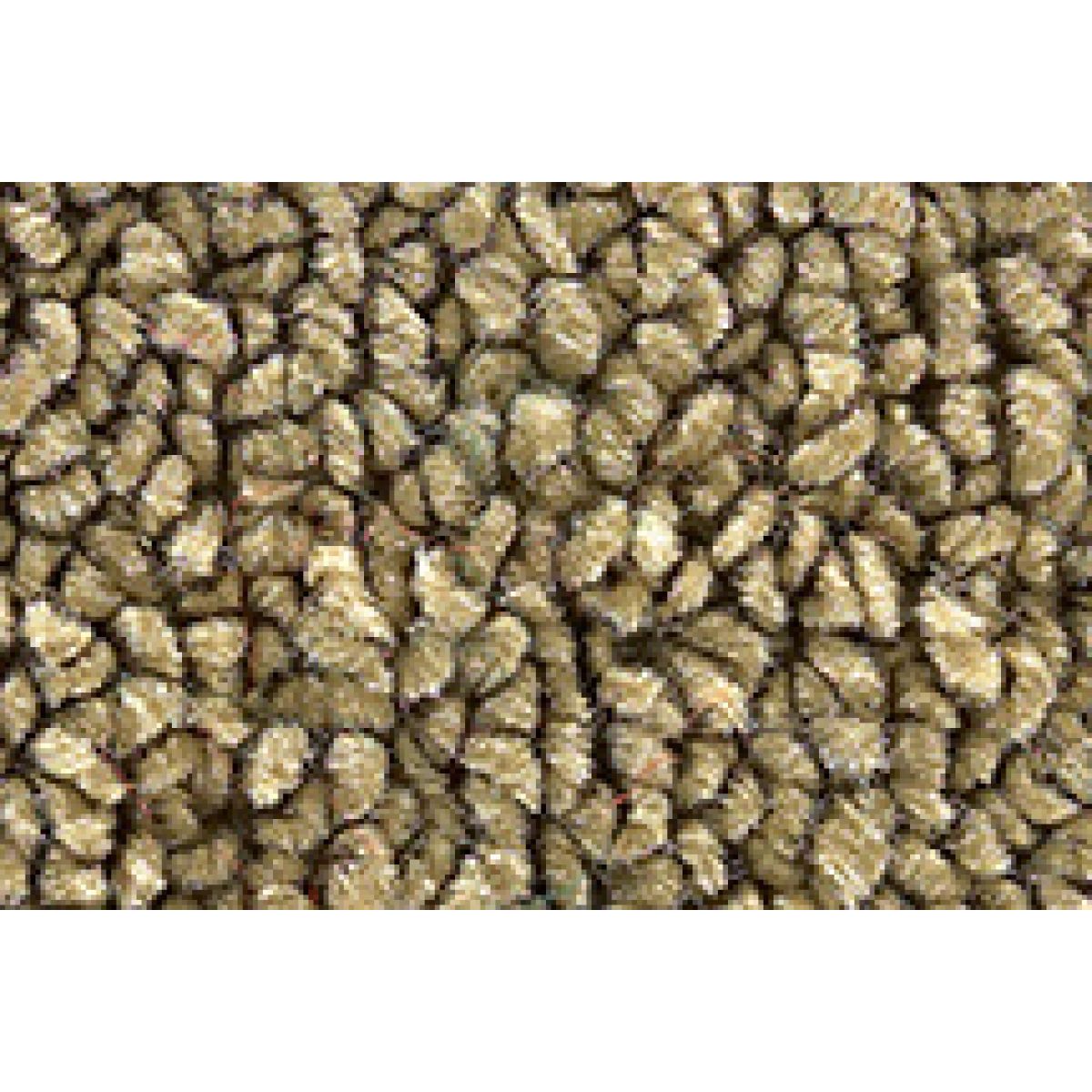 <b>Complete Carpet</b>