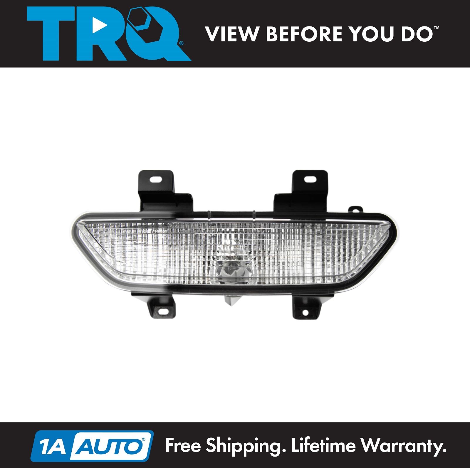 <b>Back Up Light</b>