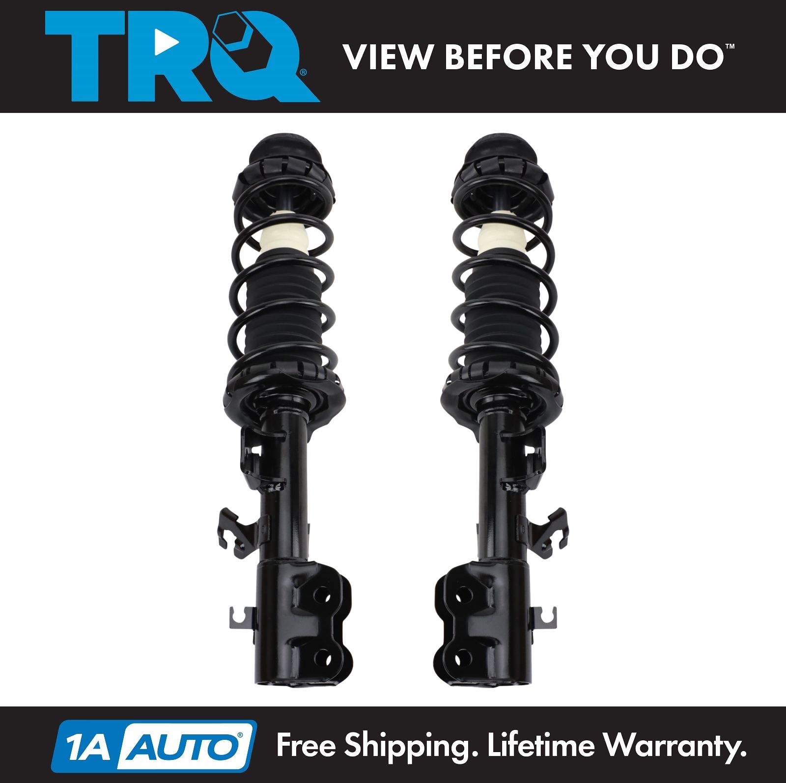 <b>2 Piece Strut & Spring Assembly Set</b>