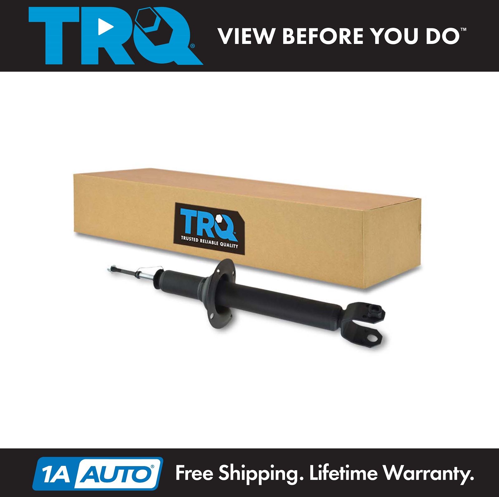 <b>Strut Assembly</b>