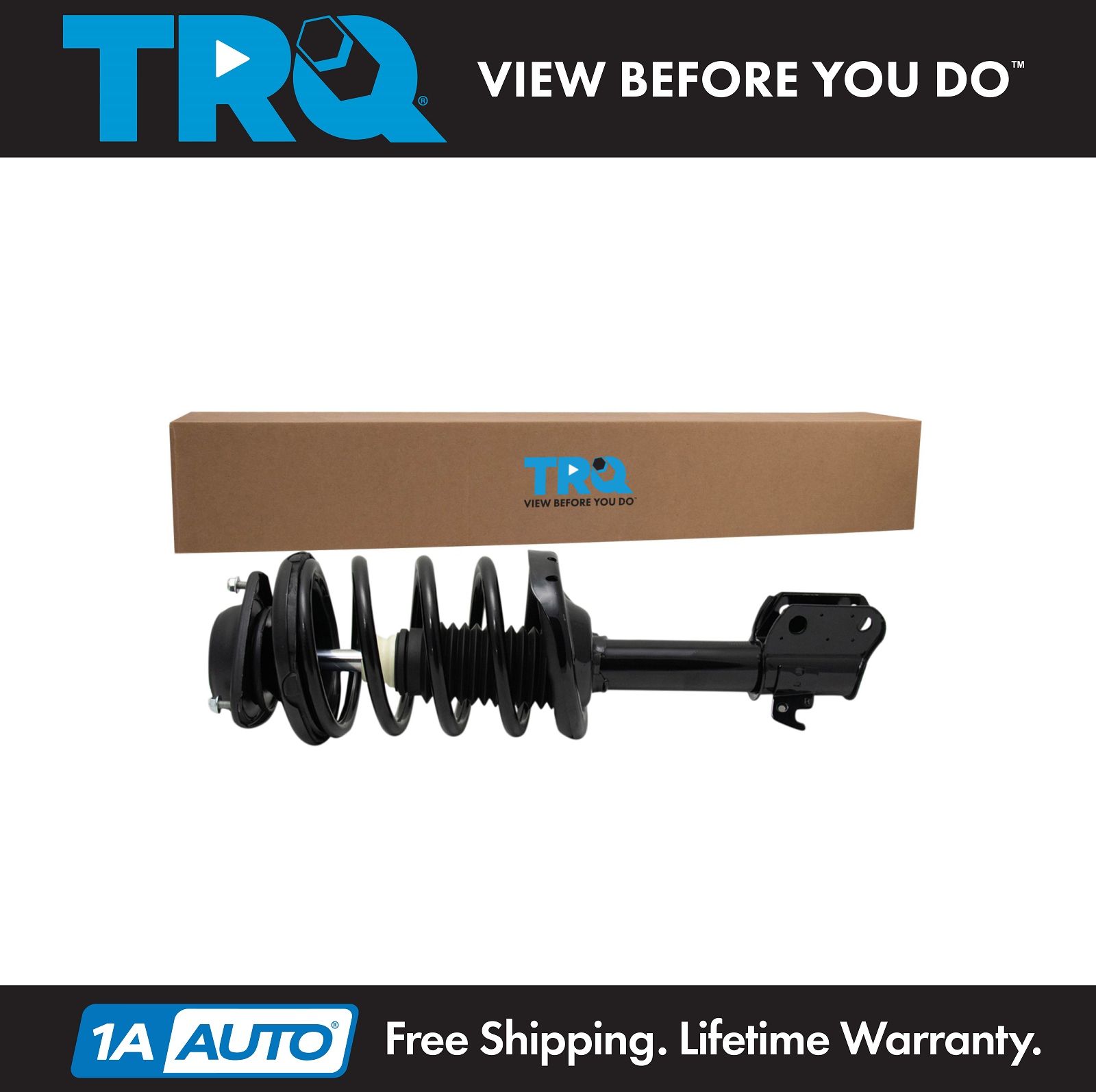 <b>Strut & Spring Assembly</b>